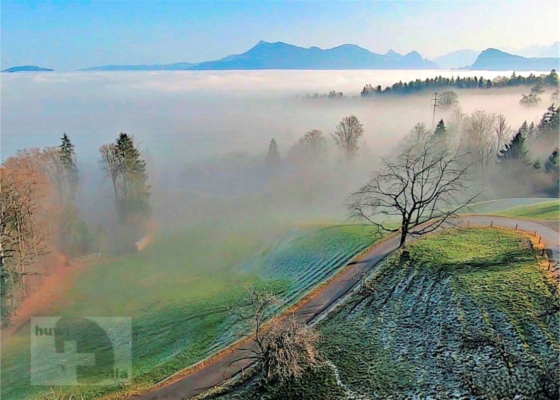 Nebelgrenze