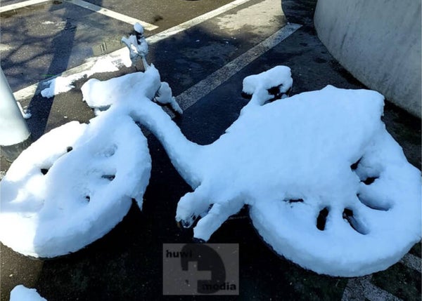 Schneevelo