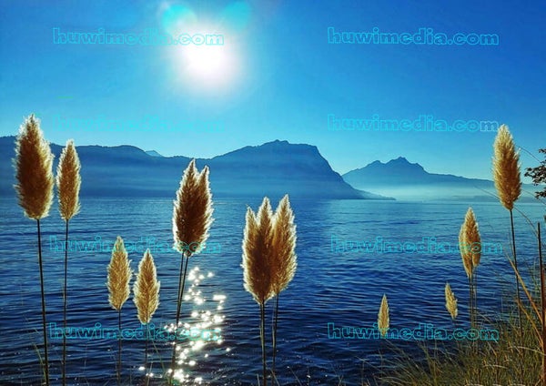 Seelandschaft