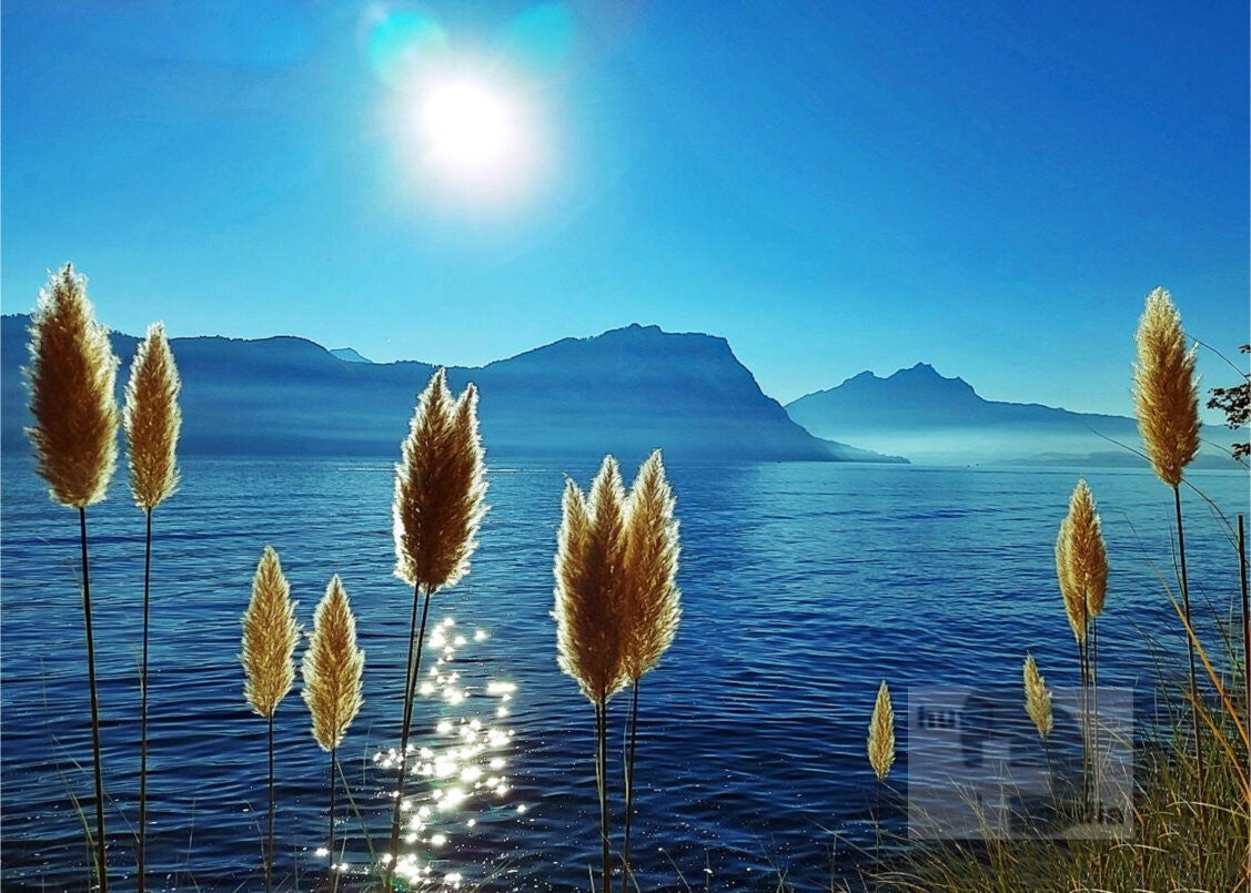 Seelandschaft