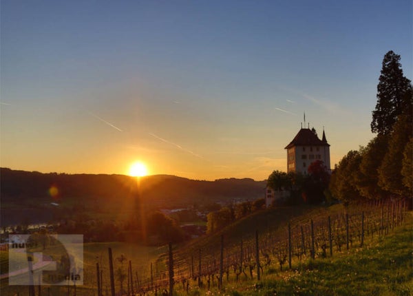 Sonnenuntergang Heidegg