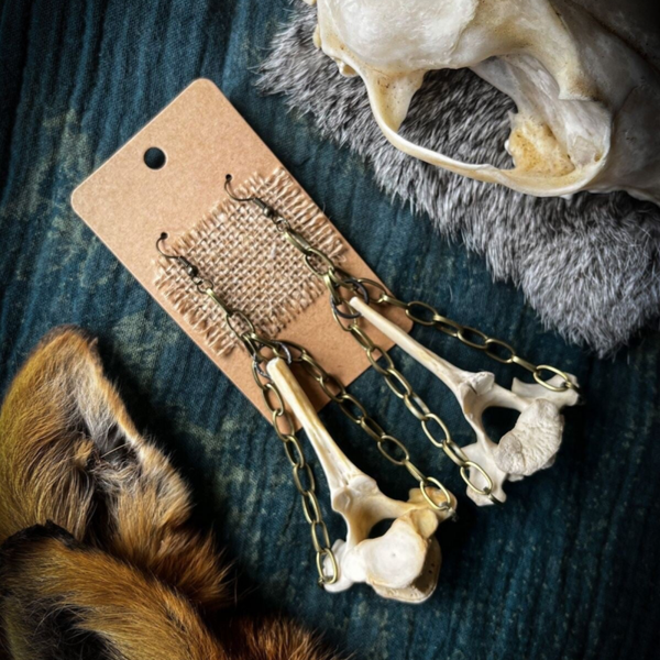Fawn Vertebrae Bone Chain Earrings | Real Bone Oddity Jewellery
