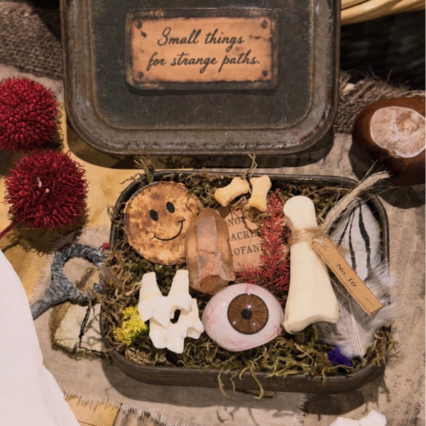 The Little Tin of Curiosities – Miniature Oddities Collection