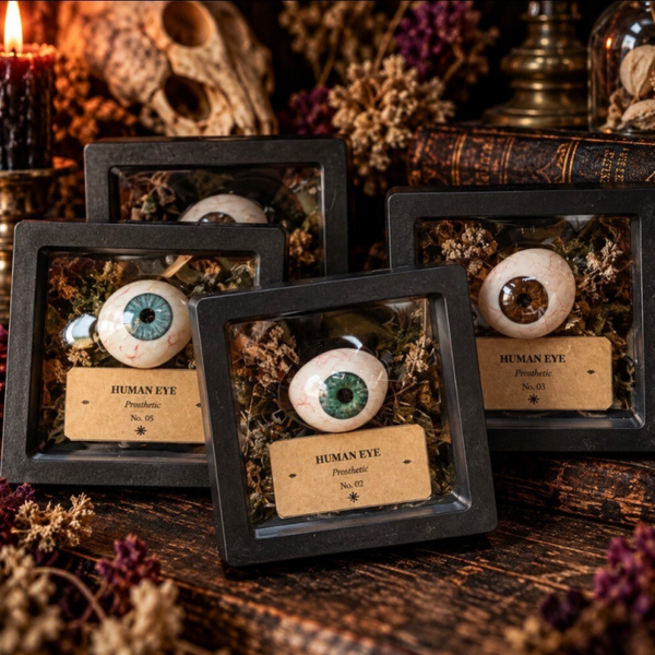 Human Prosthetic Glass Eye – Vintage Medical Oddity
