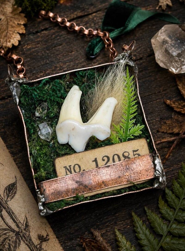 Handmade Oddity Tooth Necklace | Curiosity Cabinet Pendant | Reclaimed Copper Jewellery