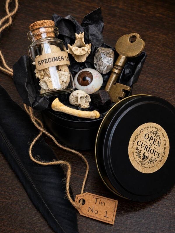 🖤 The Curious Tin – Mystery Oddity Box | Cabinet of Curiosities | Gothic Gift | Ethically Sourced Bones & Crystals