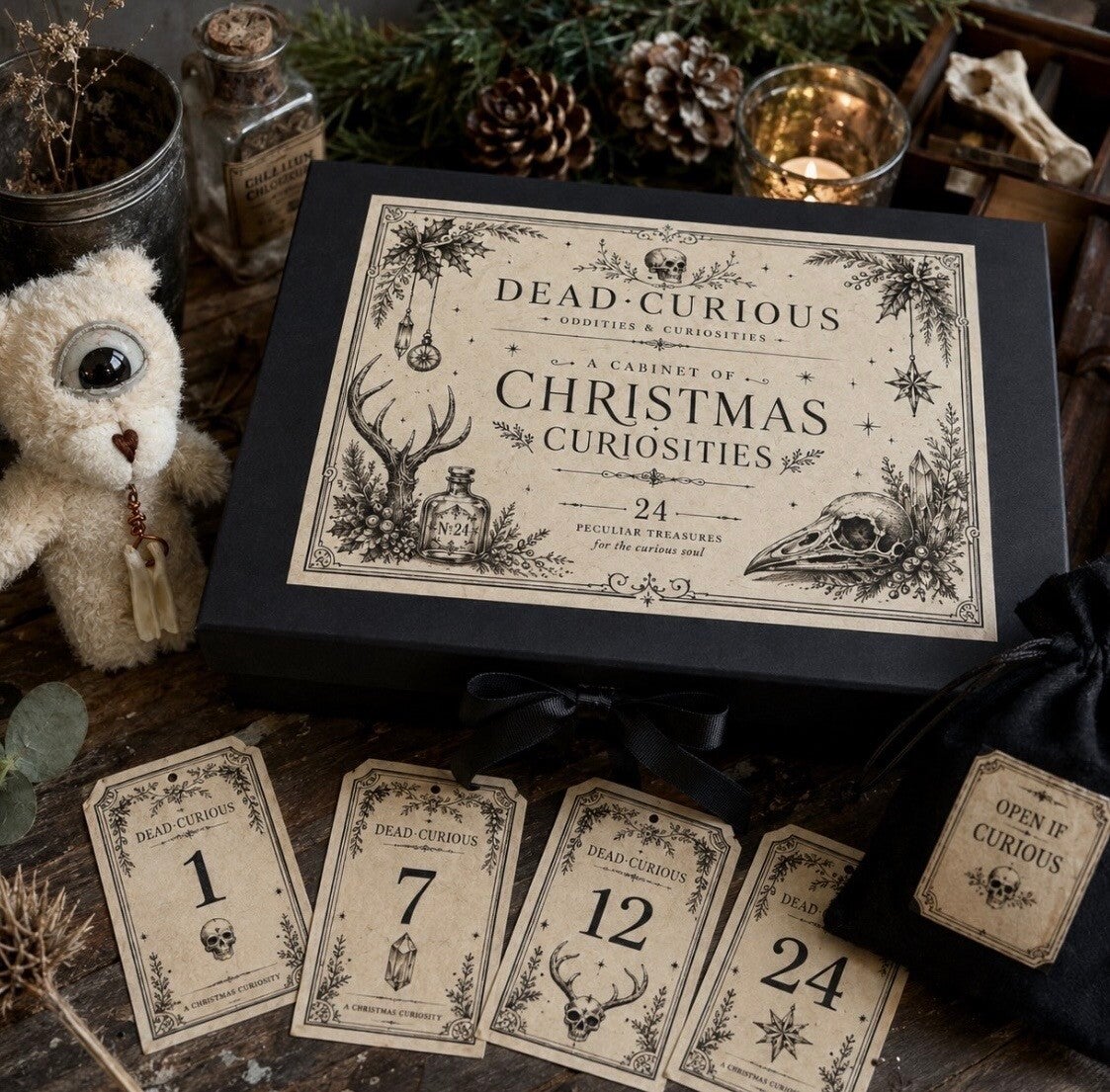 24 Piece Christmas Oddity Advent Box – Curiosity Gift Set