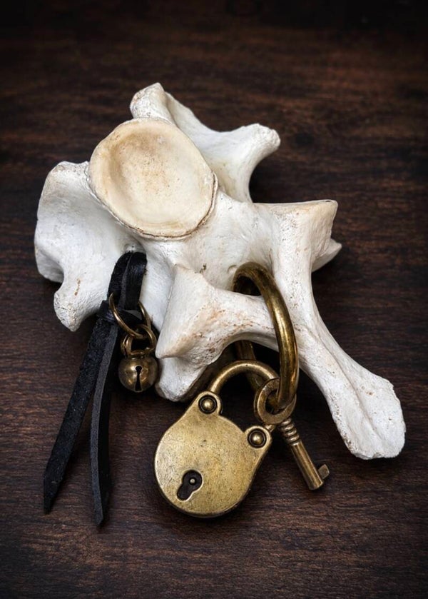 The Worry Bone Sensory Fidget Toy for Adults