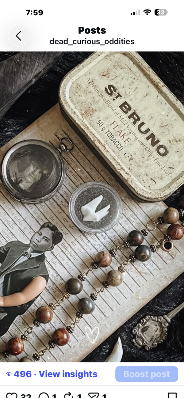 Victorian Vintage Oddity Box