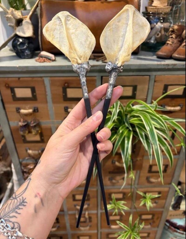 Soldered Witchy Odd Badger Scapula Bone Hair Pins