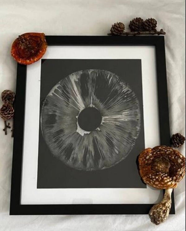 Amanita Muscaria the Fly Agaric Mushroom Spore Print Stylish Wall Decor Curiosity