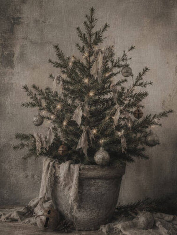 Tuinposter nr. 11 Kerst