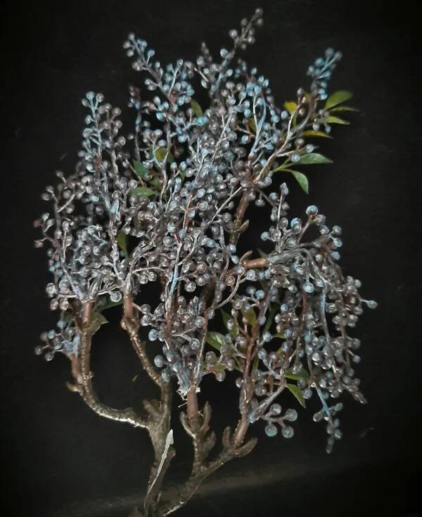 Dadeltak dark purpleblue