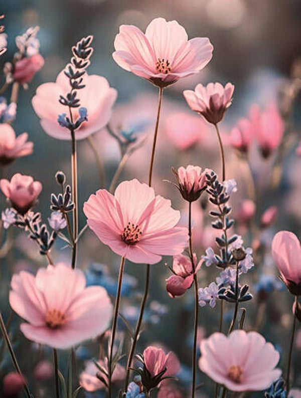Tuinposter nr. 535 Roze bloemen