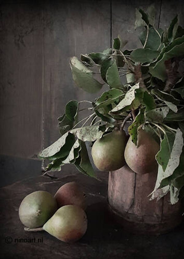 Decoboard XL peren