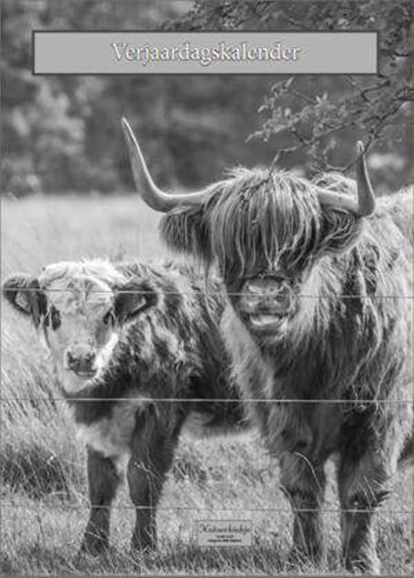 Verjaardagskalender Schotse Hooglanders zwart-wit