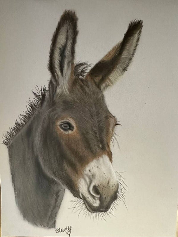 Pasteltekening "Pepita"