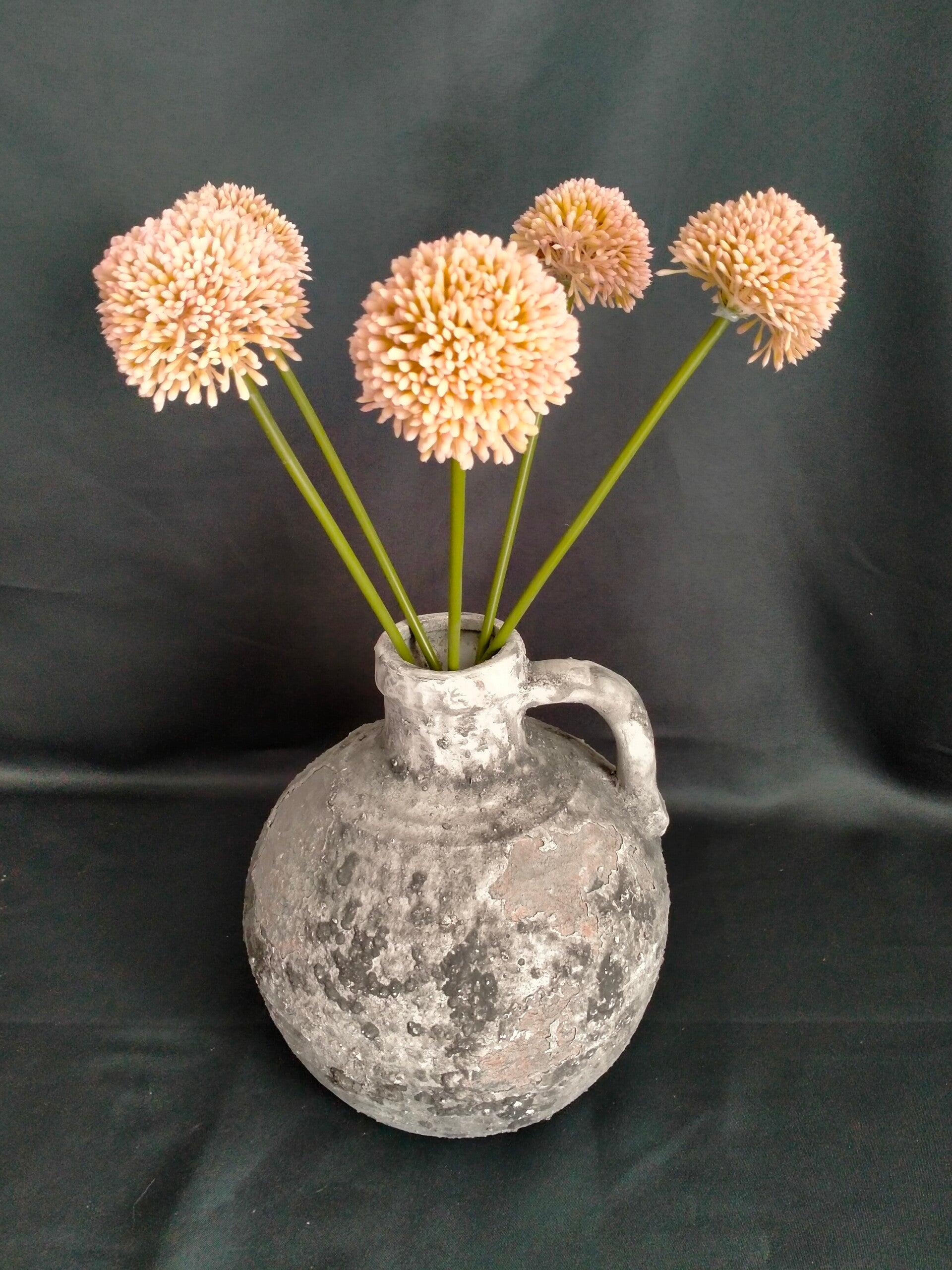 Allium peach