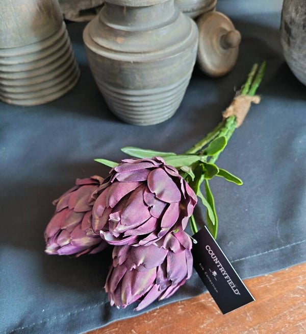 Countryfield artisjok purple