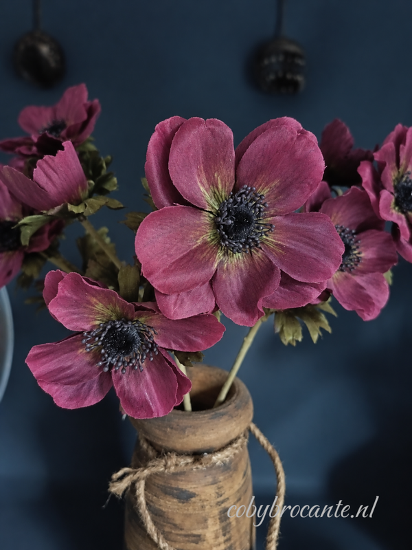 Anemoon Burgundy
