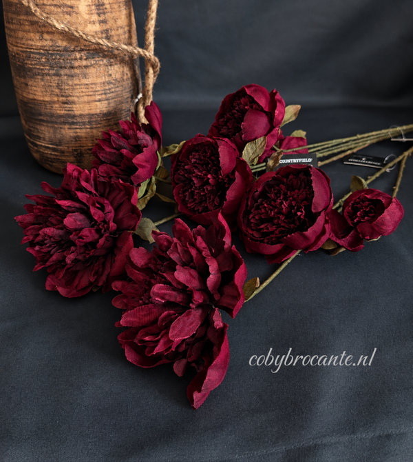 Countryfield Peony Burgundy red
