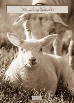 Verjaardagskalender schapen