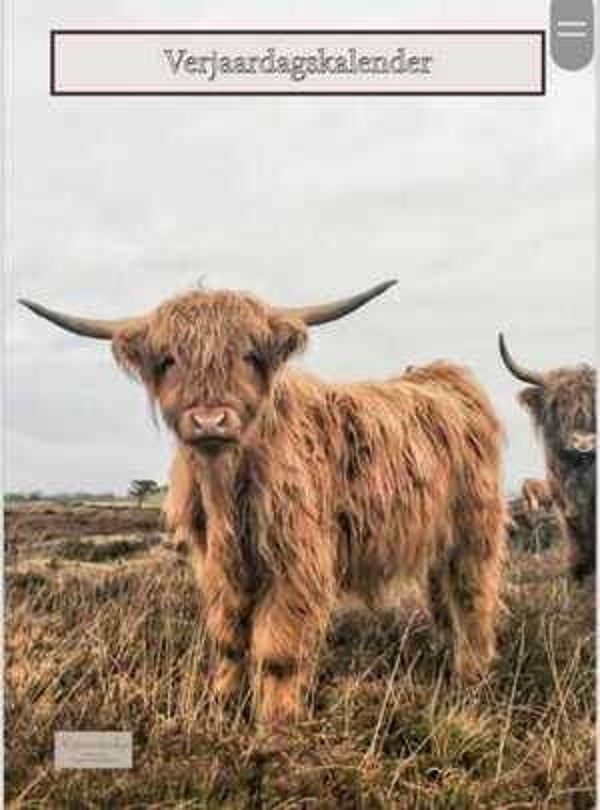Verjaardagskalender Schotse Hooglanders kleur