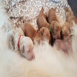 IMG-20180802-WA0007.jpeg