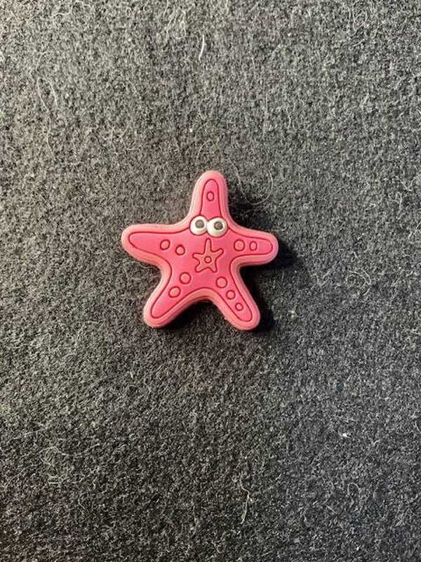 Sea Star - Shoe Charm
