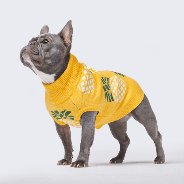 Pineapple Knit Dog Sweater Final sale