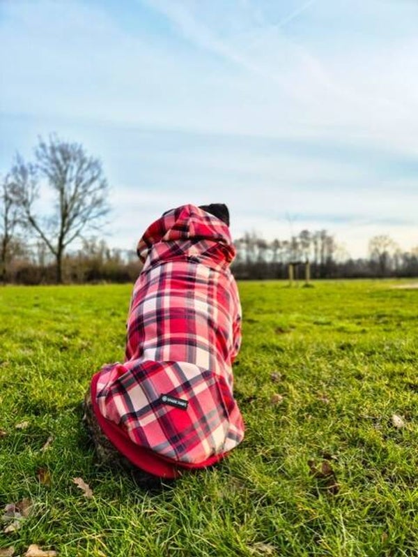 Spark Paws official hoodie - Red plaid