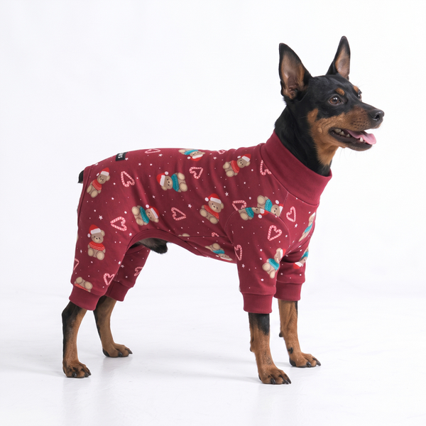 Kerst hondenpyjama - Teddy Christmas