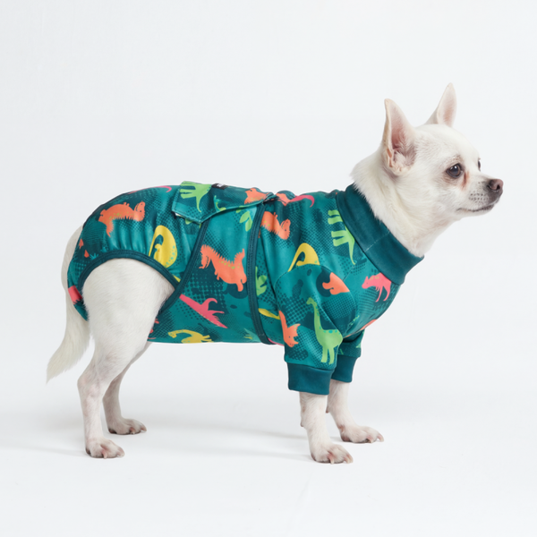 Medisch Rompertje voor Honden - Dino's