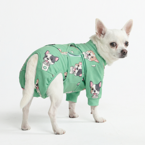 Medisch Rompertje voor Honden - Pup Cup