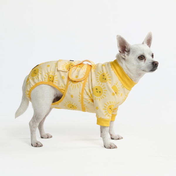 Medisch Rompertje voor Honden - Zonneschijn