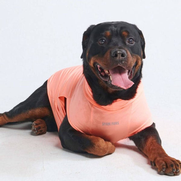 Spf oranje 5xl
