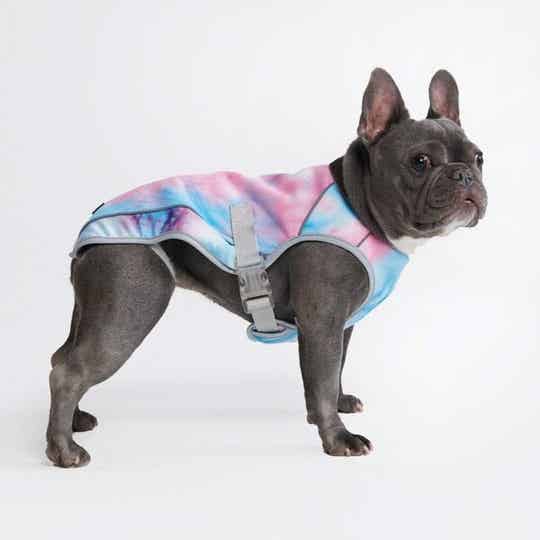 Honden koelvest snow cone  4xl