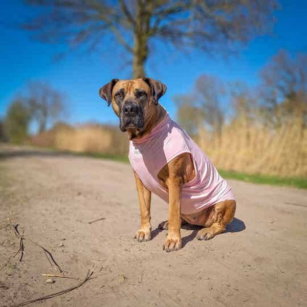 Spf roze shirt 4xl