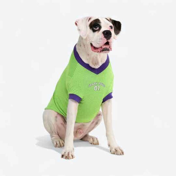 Spf jersey lime 2xl & 4xl