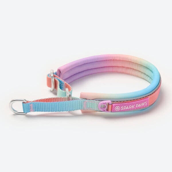 Martingale halsband - Pastel Icing