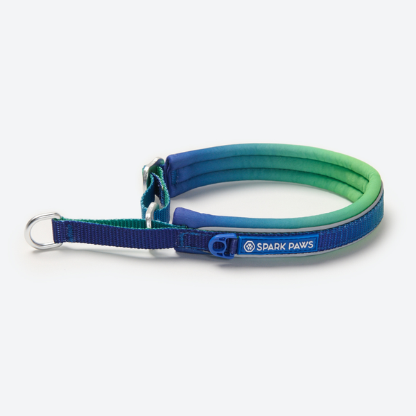 Martingale halsband - Lime Wave