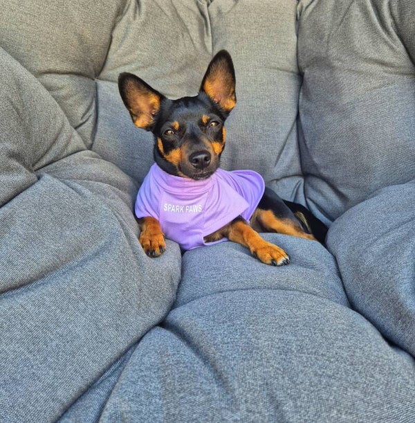 Sunblock tshirt paars