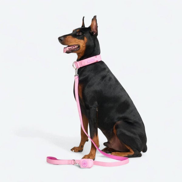 Comfort Controle Halsband Set - Roze