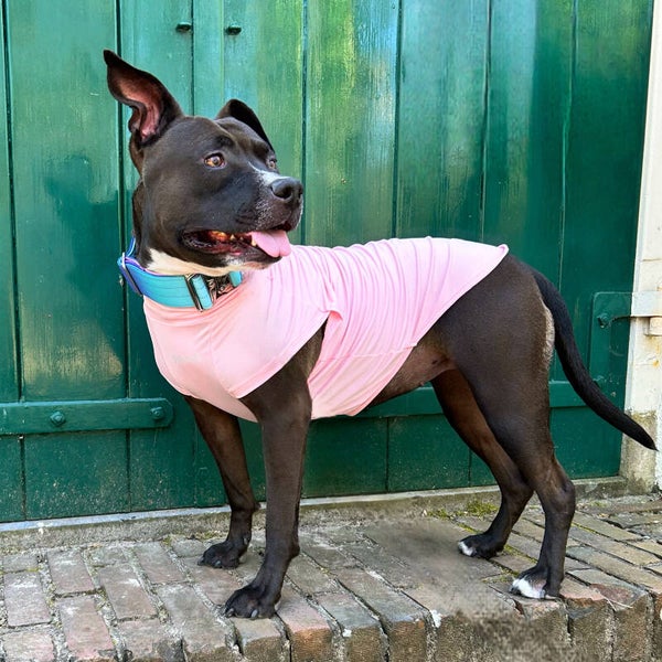 Sunblock honden Tshirt  roze