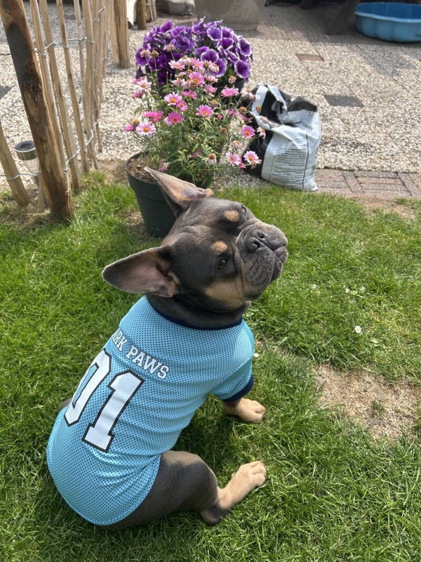 Voetbal Mesh Shirt - Blauw