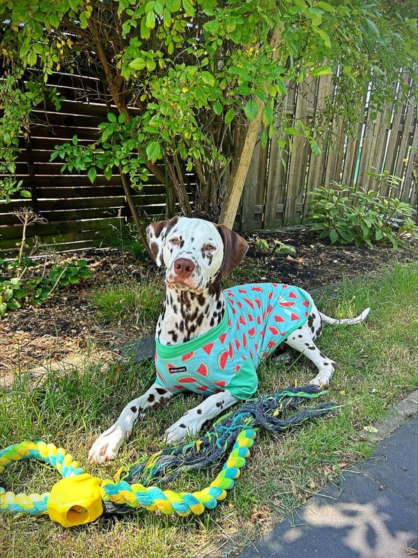 Zonnebrandshirt - Watermeloen