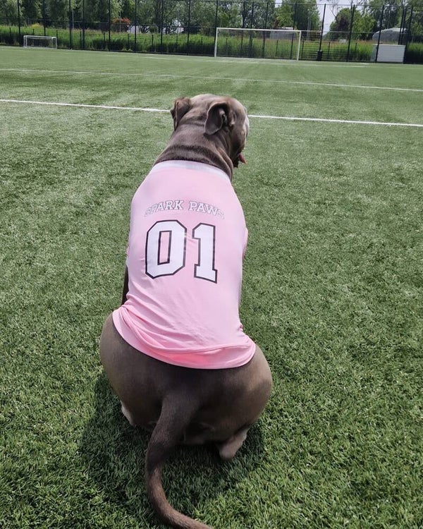 Voetbal Mesh Shirt - Roze