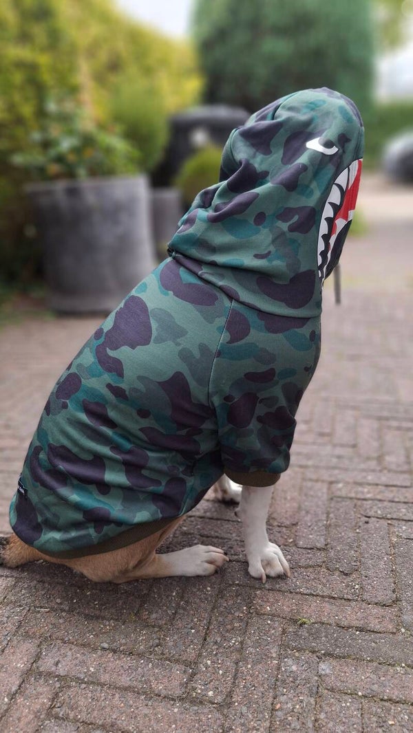 Dog Hoodie - Green Camo / Shark Monster
