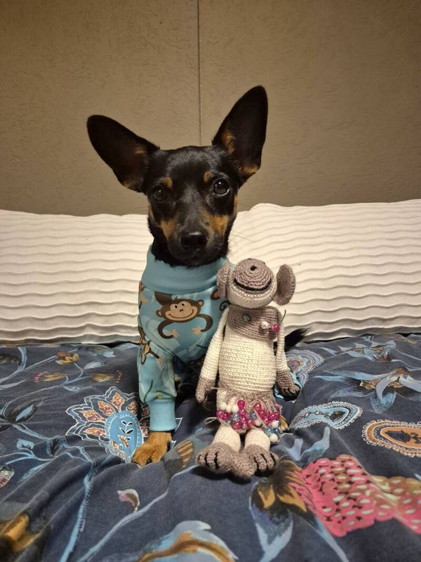 Hondenpyjama - Monkey Business
