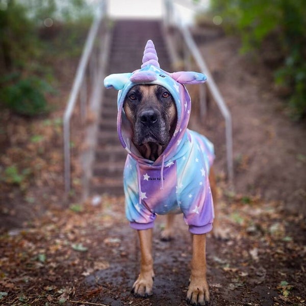Halloween Dog Hoodie - Unicorn